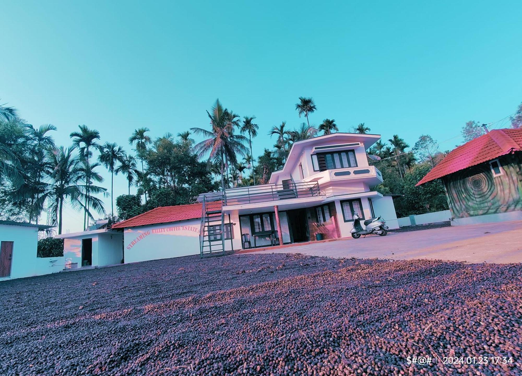 Streaming Valley Independent Coffee Estate Stay マディケーリ エクステリア 写真